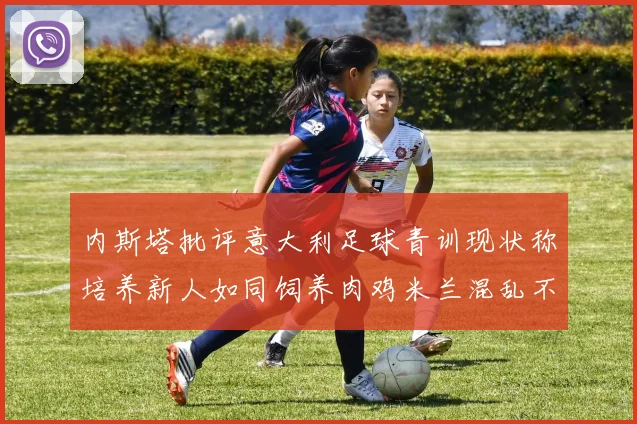 内斯塔批评意大利足球青训现状称培养新人如同饲养肉鸡米兰混乱不堪